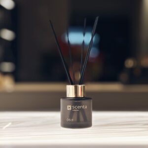 Diffuseur 09.11 - 50ml
