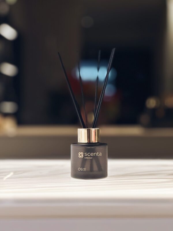 Diffuseur 09.11 - 50ml
