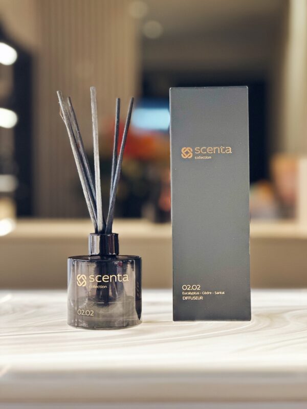 Diffuseur 02.02 - 100ml