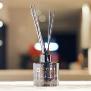 Diffuseur 02.02 - 100ml