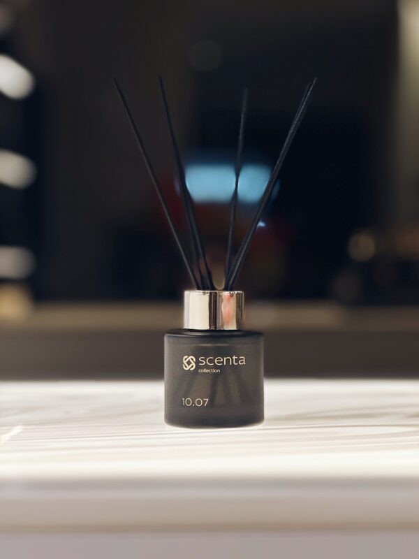 Diffuseur 10.07 - 50ml