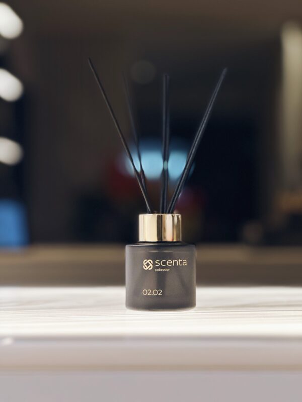 Diffuseur 02.02 - 50ml