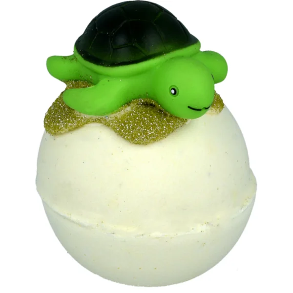 Turtle_1080x turtle chill | BOMB RAW