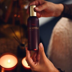 Parfum d’ambiance 17.12.25 - 100ml