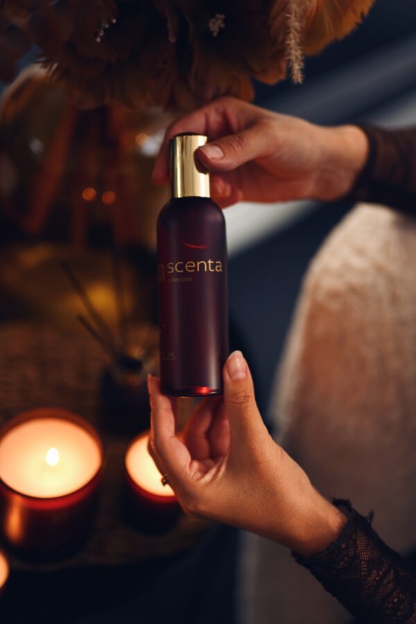Parfum d’ambiance 17.12.25 - 100ml