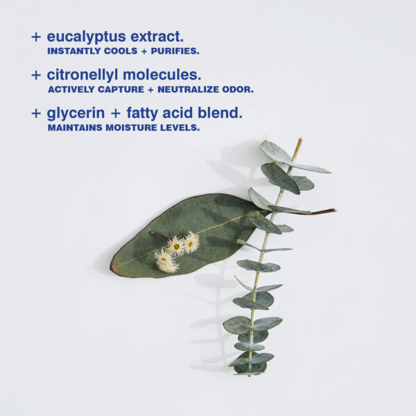 déodorant 73gr - eucalyptus | MALIN+GOETZ