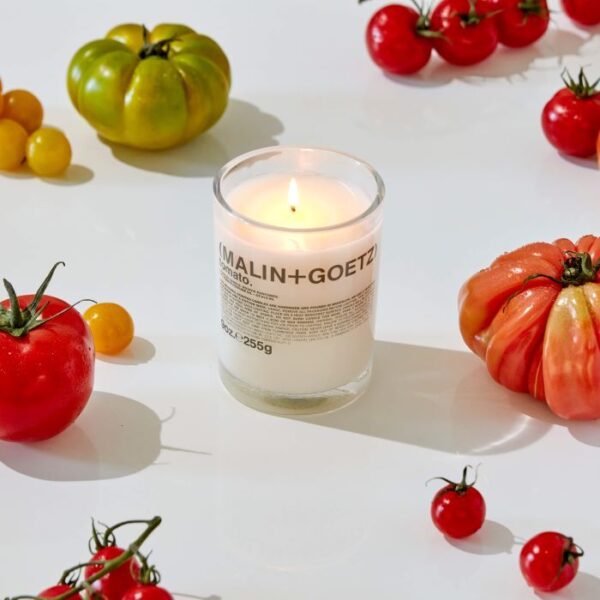 tomate1 bougie 255gr - tomato | MALIN+GOETZ