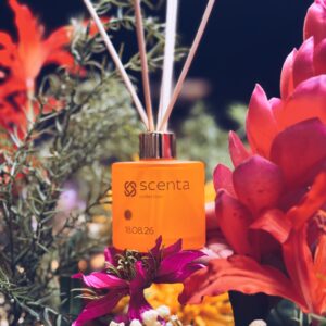 Processed with VSCO with a5 preset diffuseur 18.08.26 - 100ml