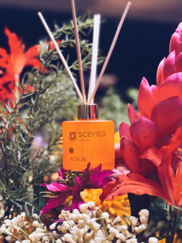 diffuseur 18.08.26 - 100ml