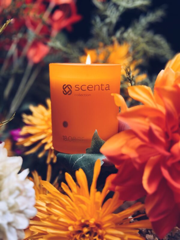 Processed with VSCO with a5 preset bougie 18.08.26 - 200gr