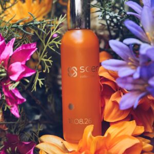 Processed with VSCO with a5 preset parfum d’ambiance 18.08.26 - 100ml