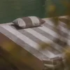 Coussin sable | PLACE RESERVEE