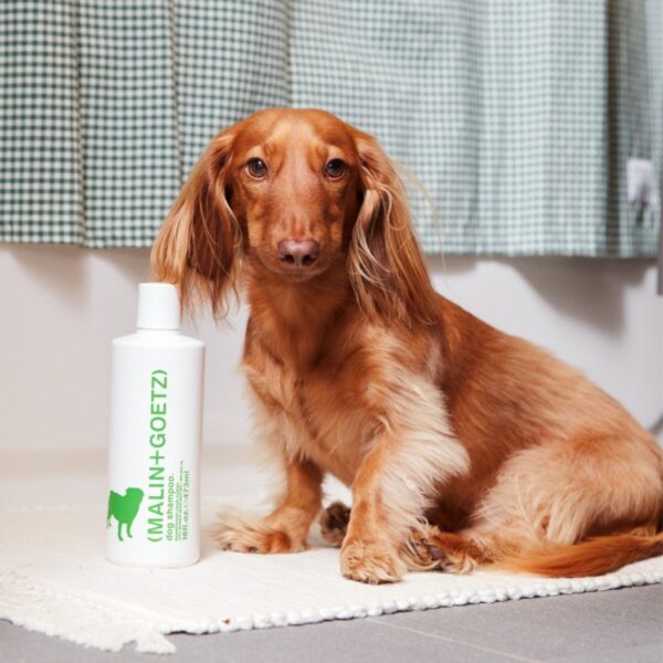 Shampooing chien 473 ml | Malin & Goetz