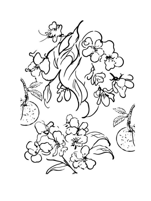 Illustration__CTP Hair Perfume Contre Ta Peau 52 ml | Chambre 52