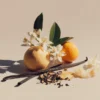 amande_22937_A_minimalist_set_of_a_nature_morte_on_light_minera_295bffa1-29f9-4247-8dc0-db158330ccbf Hair Perfume Contre Ta Peau 52 ml | Chambre 52